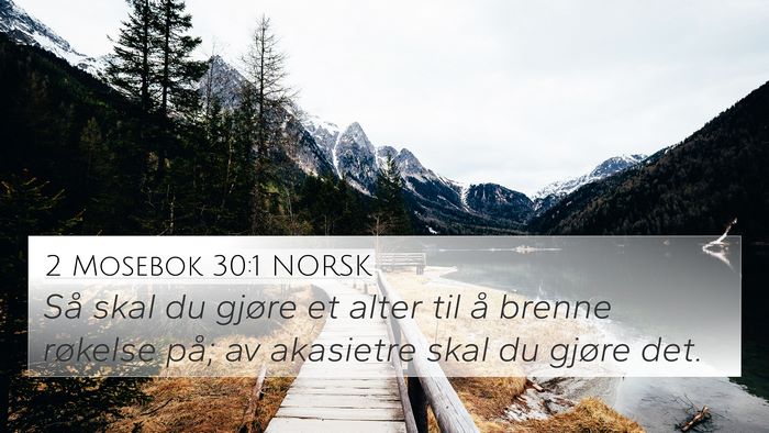 2 Mosebok 30:1 NORSK Bible Verse Image