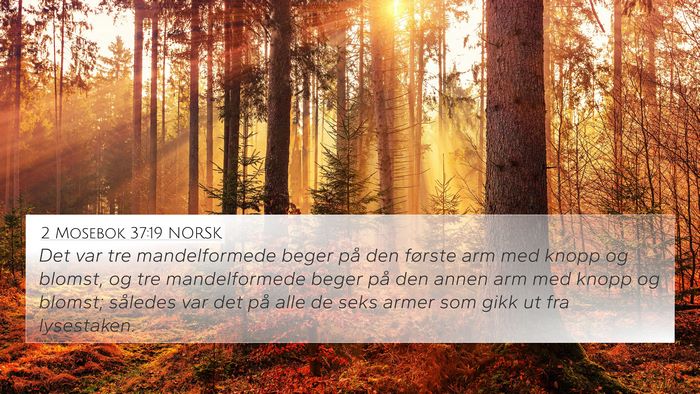 2 Mosebok 37:19 NORSK 4K Wallpaper - Det var tre mandelformede beger på den første - 4K Wallpaper Bible Verse