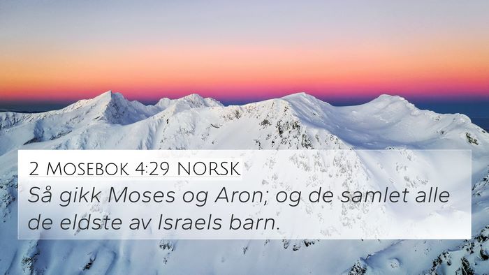 2 Mosebok 4:29 NORSK Bible Verse Image