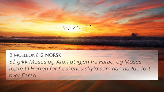 2 Mosebok 8:12 NORSK 4K Wallpaper - Så gikk Moses og Aron ut igjen fra Farao, og - 4K Wallpaper Bible Verse