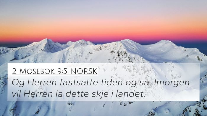 2 Mosebok 9:5 NORSK Bible Verse Image