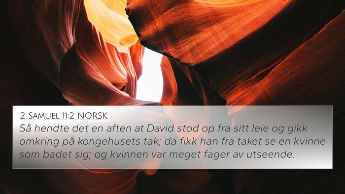 2 Samuel 11:2 NORSK Bible Verse Image