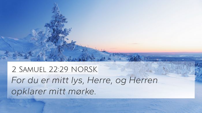 2 Samuel 22:29 NORSK Bible Verse Image
