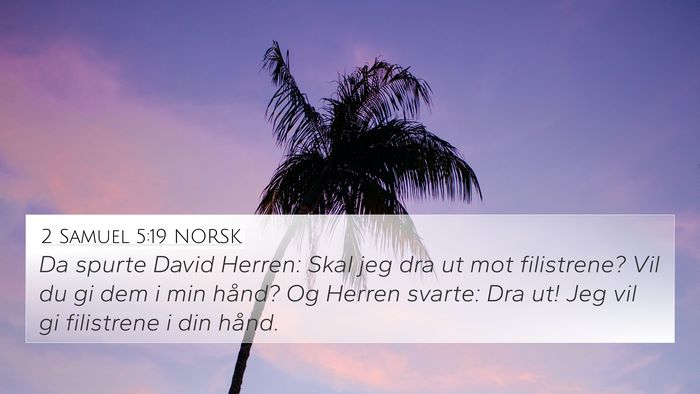 2 Samuel 5:19 NORSK Bible Verse Image