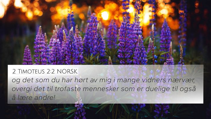 2 Timoteus 2:2 NORSK Bible Verse Image