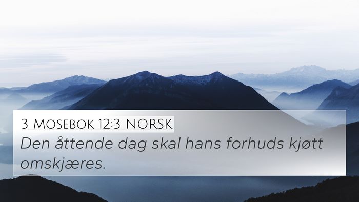 3 Mosebok 12:3 NORSK Bible Verse Image