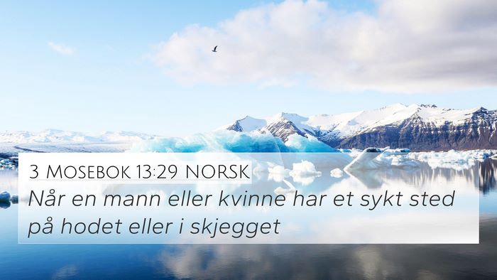 3 Mosebok 13:29 NORSK Bible Verse Image
