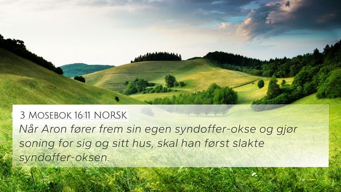 3 Mosebok 16:11 NORSK Bible Verse Image