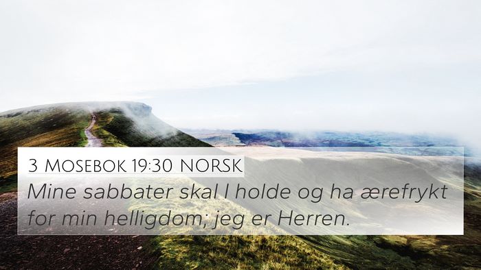 3 Mosebok 19:30 NORSK Bible Verse Image