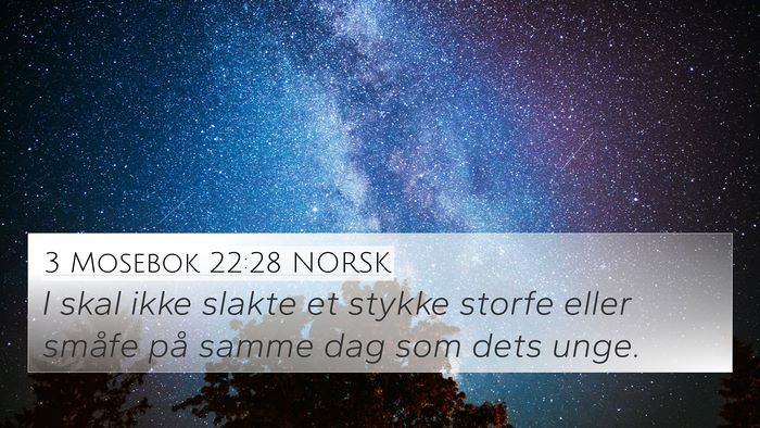 3 Mosebok 22:28 NORSK Bible Verse Image