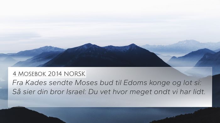 4 Mosebok 20:14 NORSK Bible Verse Image