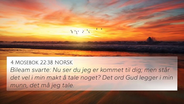 4 Mosebok 22:38 NORSK Bible Verse Image