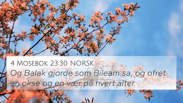 4 Mosebok 23:30 NORSK Bible Verse Image