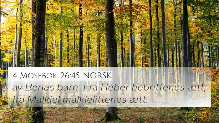 4 Mosebok 26:45 NORSK 4K Wallpaper - av Berias barn: Fra Heber hebrittenes ætt, fra - 4K Wallpaper Bible Verse