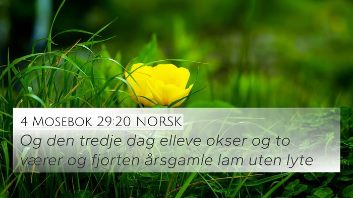 4 Mosebok 29:20 NORSK 4K Wallpaper - Og den tredje dag elleve okser og to værer og - 4K Wallpaper Bible Verse