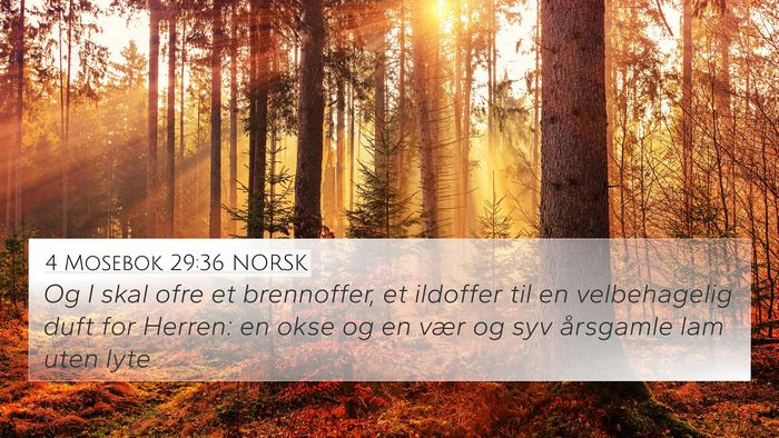 4 Mosebok 29:36 NORSK 4K Wallpaper - Og I skal ofre et brennoffer, et ildoffer til en - 4K Wallpaper Bible Verse