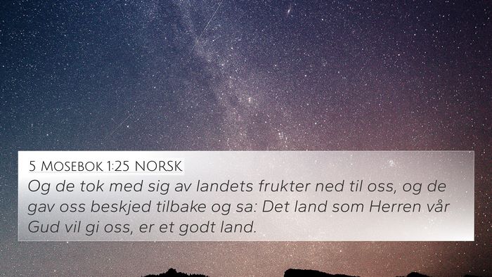 5 Mosebok 1:25 NORSK Bible Verse Image