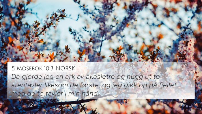 5 Mosebok 10:3 NORSK 4K Wallpaper - Da gjorde jeg en ark av akasietre og hugg ut to - 4K Wallpaper Bible Verse