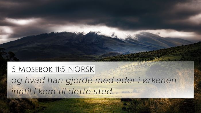 5 Mosebok 11:5 NORSK 4K Wallpaper - og hvad han gjorde med eder i ørkenen inntil I - 4K Wallpaper Bible Verse