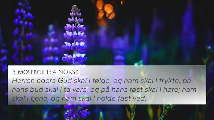 5 Mosebok 13:4 NORSK Bible Verse Image