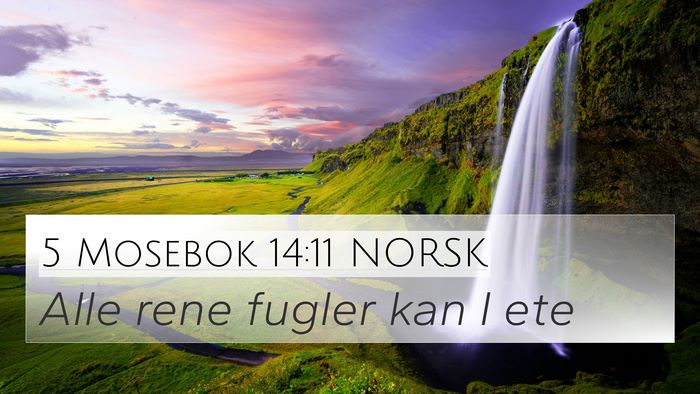 5 Mosebok 14:11 NORSK 4K Wallpaper - Alle rene fugler kan I - 4K Wallpaper Bible Verse