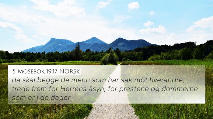 5 Mosebok 19:17 NORSK Bible Verse Image