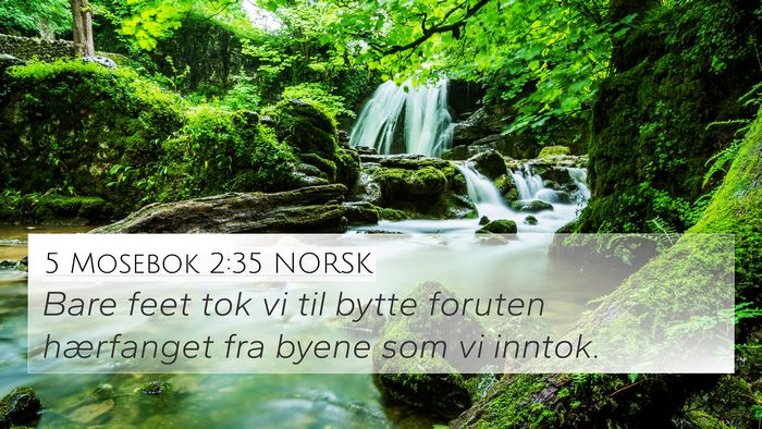 5 Mosebok 2:35 NORSK 4K Wallpaper - Bare feet tok vi til bytte foruten hærfanget fra - 4K Wallpaper Bible Verse