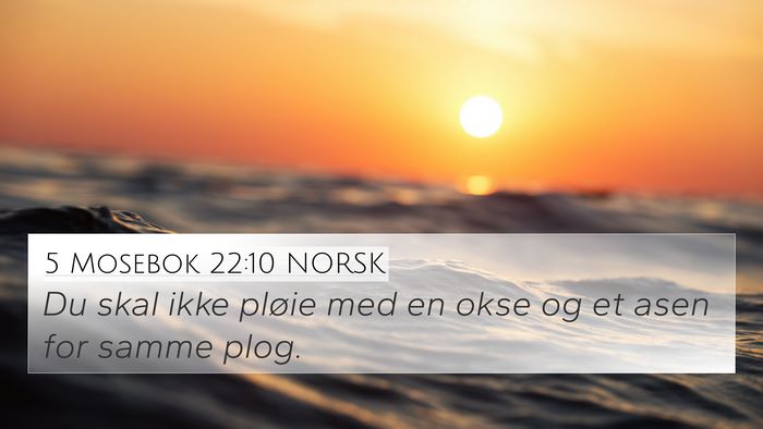 5 Mosebok 22:10 NORSK 4K Wallpaper - Du skal ikke pløie med en okse og et asen for - 4K Wallpaper Bible Verse