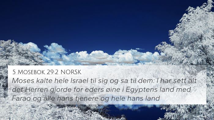 5 Mosebok 29:2 NORSK Bible Verse Image