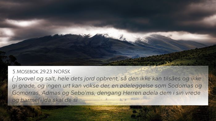 5 Mosebok 29:23 NORSK Bible Verse Image