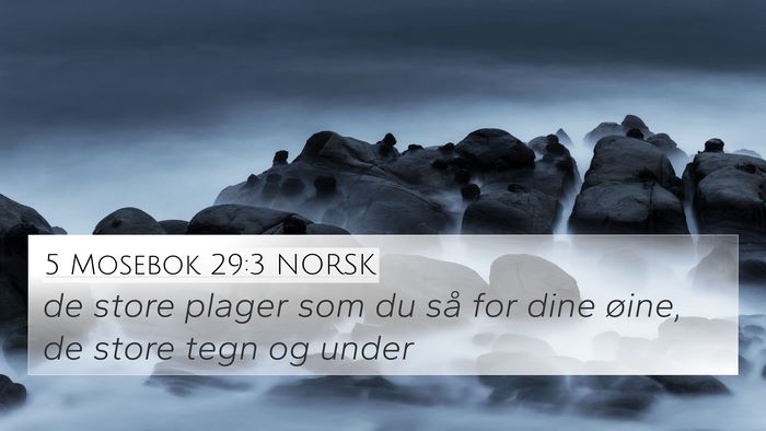 5 Mosebok 29:3 NORSK Bible Verse Image