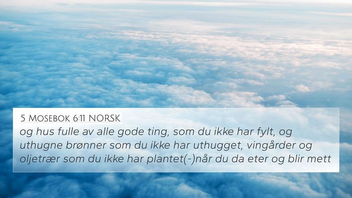 5 Mosebok 6:11 NORSK Bible Verse Image