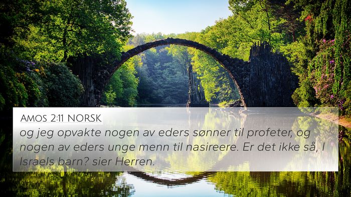 Amos 2:11 NORSK Bible Verse Image