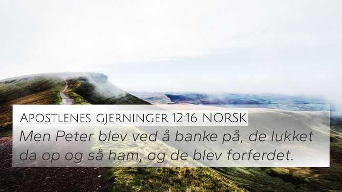 Apostlenes gjerninger 12:16 NORSK Bible Verse Image