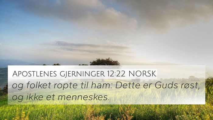 Apostlenes gjerninger 12:22 NORSK Bible Verse Image