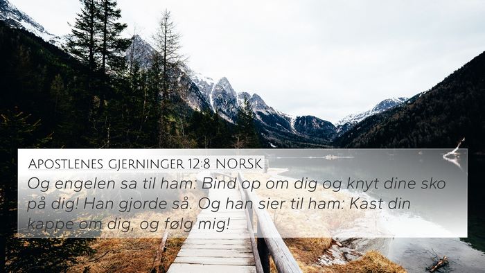 Apostlenes gjerninger 12:8 NORSK Bible Verse Image