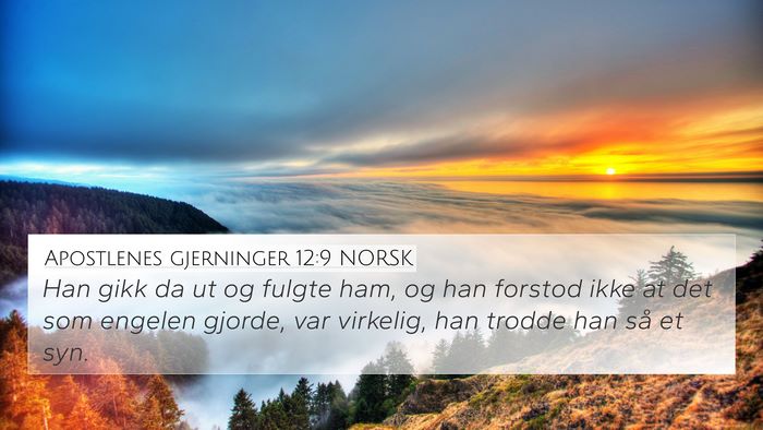 Apostlenes gjerninger 12:9 NORSK Bible Verse Image