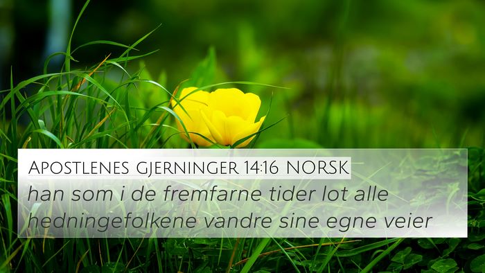 Apostlenes gjerninger 14:16 NORSK Bible Verse Image