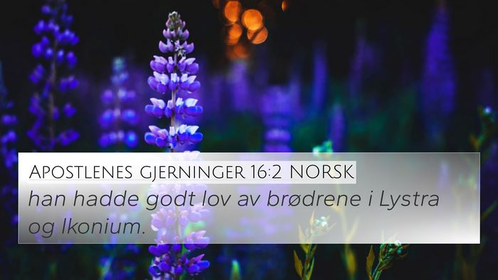 Apostlenes gjerninger 16:2 NORSK 4K Wallpaper - han hadde godt lov av brødrene i Lystra og - 4K Wallpaper Bible Verse