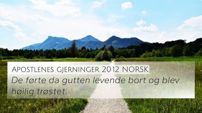 Apostlenes gjerninger 20:12 NORSK 4K Wallpaper - De førte da gutten levende bort og blev høilig - 4K Wallpaper Bible Verse