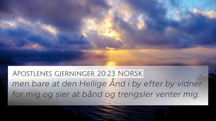 Apostlenes gjerninger 20:23 NORSK Bible Verse Image