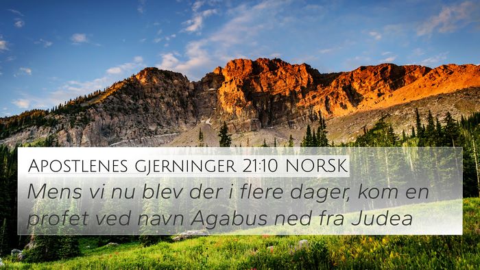 Apostlenes gjerninger 21:10 NORSK Bible Verse Image