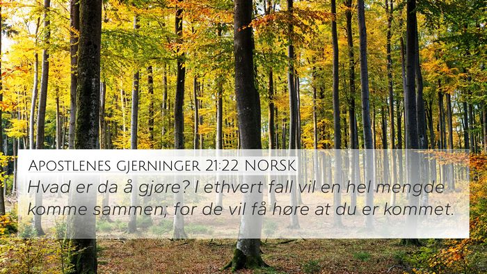Apostlenes gjerninger 21:22 NORSK Bible Verse Image