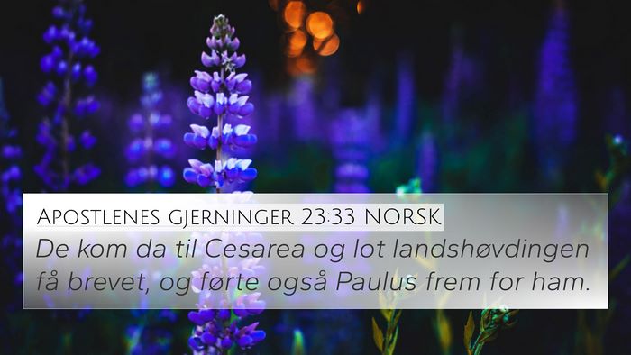 Apostlenes gjerninger 23:33 NORSK Bible Verse Image