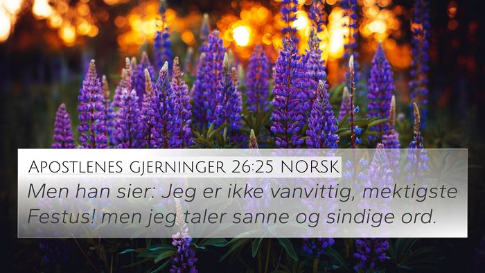 Apostlenes gjerninger 26:25 NORSK Bible Verse Image