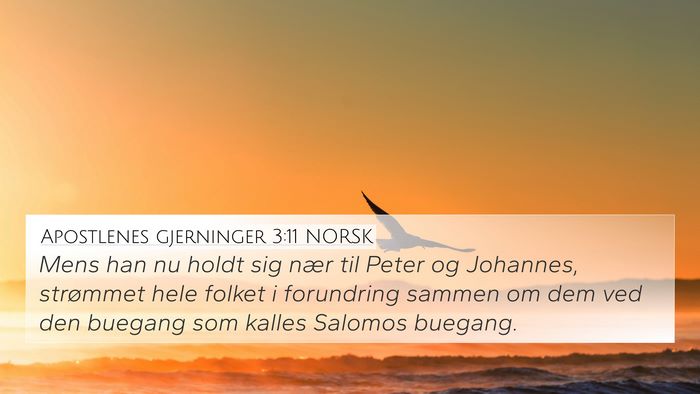 Apostlenes gjerninger 3:11 NORSK Bible Verse Image