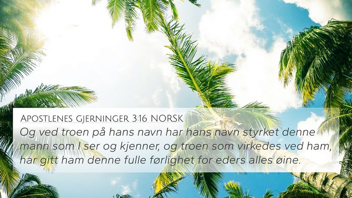 Apostlenes gjerninger 3:16 NORSK Bible Verse Image