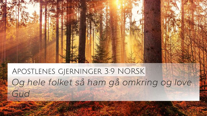 Apostlenes gjerninger 3:9 NORSK 4K Wallpaper - Og hele folket så ham gå omkring og love - 4K Wallpaper Bible Verse