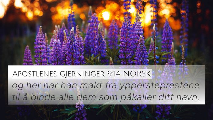 Apostlenes gjerninger 9:14 NORSK Bible Verse Image