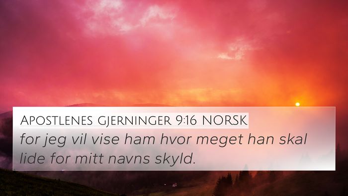 Apostlenes gjerninger 9:16 NORSK Bible Verse Image